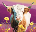 Highland Cow - Purple Sunset