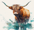 Highland Cow - Turquoise Splash