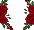Red Rose Tumbler - Customizable