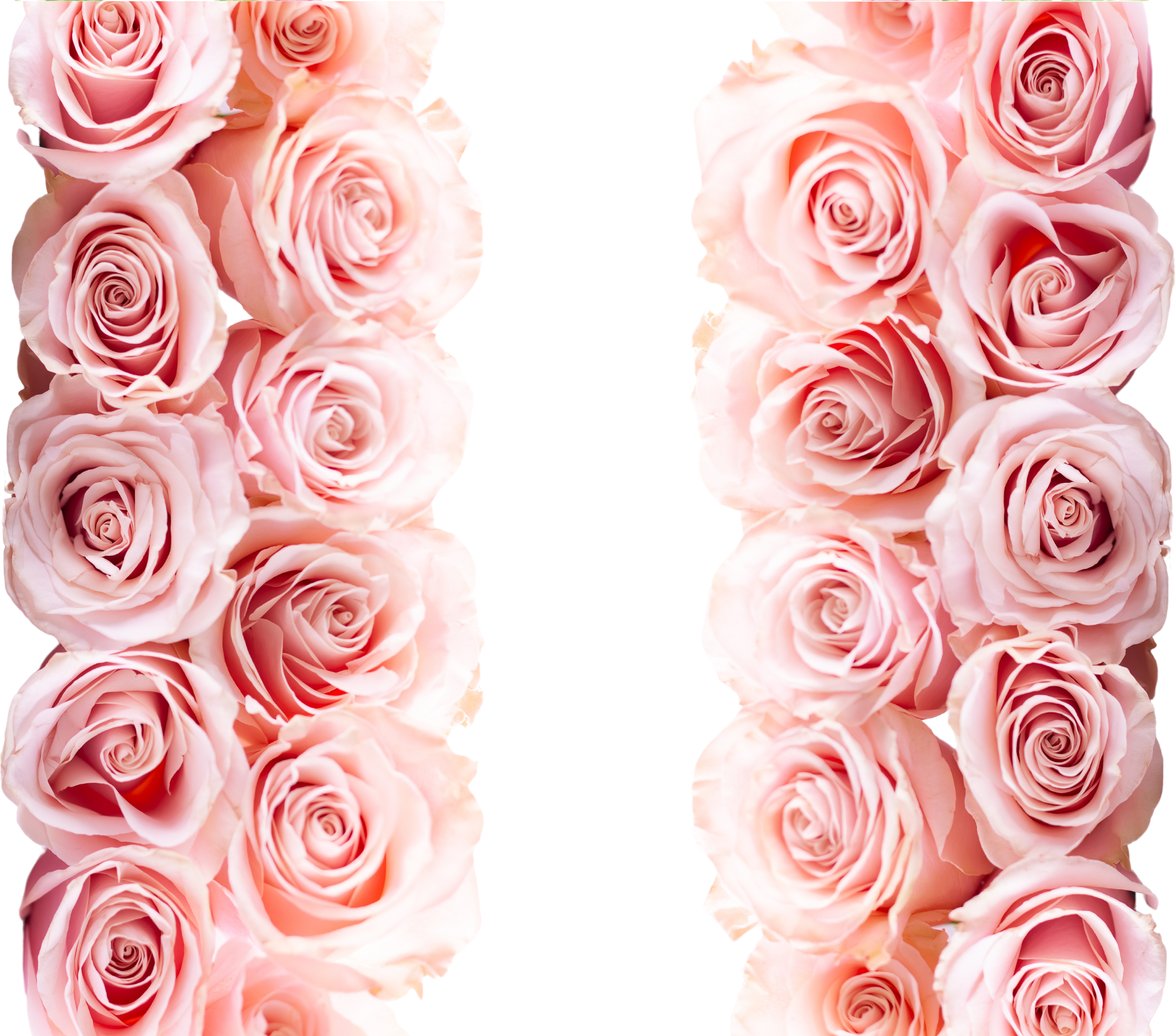Pink Rose Tumbler - Customizable