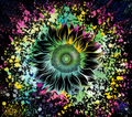 Rainbow Sunflower Paint Splash Tumbler