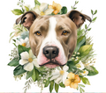 American Pit Bull Terrier with Wildflowers