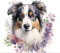 Australian Shepherd with Wildflowers