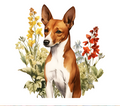 Basenji with Wildflowers