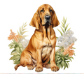 Bloodhound with Soft Wildflowers