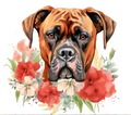 Boxer with Coral Wildflowers