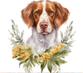 Brittany Spaniel with Yellow Wildflowers