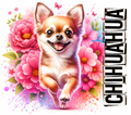 Chihuahua 2