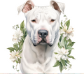 Dogo Argentino Tumbler