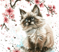 Watercolor Himalayan Cat 5