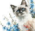 Watercolor Ragdoll Cat with Blue Delphiniums 1