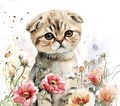 Watercolor Scottish Fold Cat 3