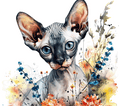 Watercolor Sphynx Cat 6