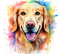 Golden Retriever Tumbler - Rainbow