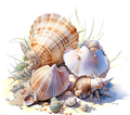 Coastal Seashell Collection Tumbler