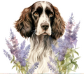 English Springer Spaniel Tumbler