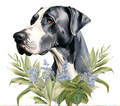 Great Dane Tumbler