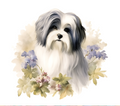 Havanese Tumbler
