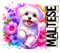 Maltese Tumbler