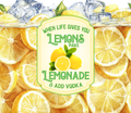 When Life Gives You Lemons Make Lemonade & Add Vodka