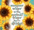 Summer Water It's Like Normal Water But It's Alcohol