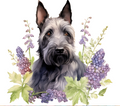 Scottish Terrier Tumbler