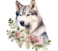 Siberian Husky Tumbler - Elegant