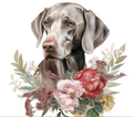 Weimaraner Tumbler